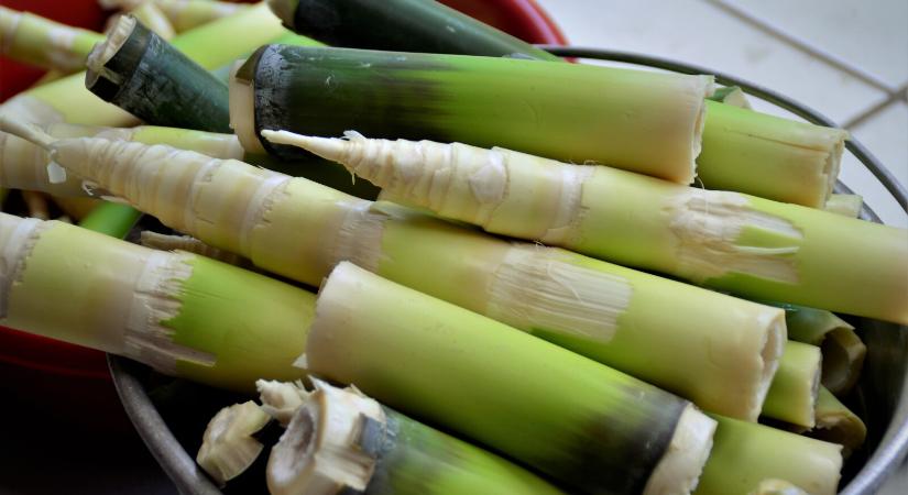 Kiderült az igazság a bambuszról – így szabad csak felhasználni a konyhában