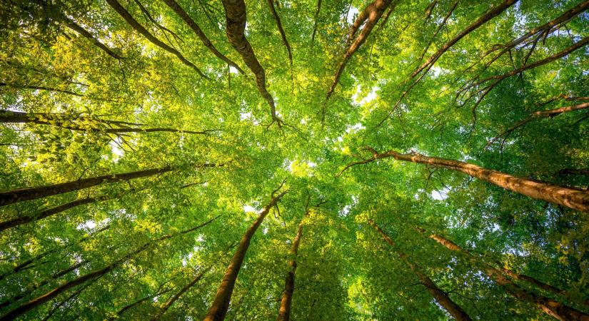 Kerepesi Igor: Párbeszédek 12 – Akaratod