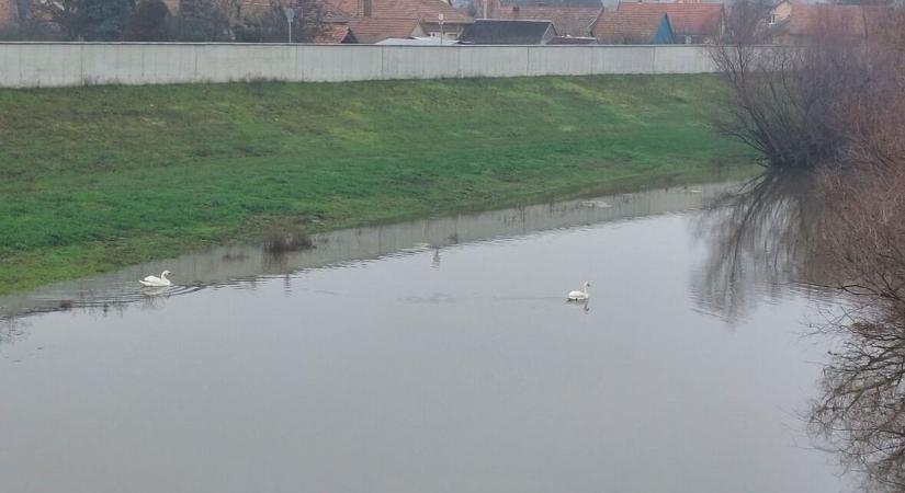 Árhullám érkezik! Bejelentette a vízügy, mi várható a következő napokban