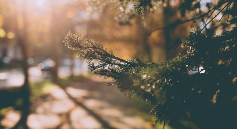 Hullámvasútra ül az időjárás: 12 fokos változás négy nap alatt, ezt megszenvedjük