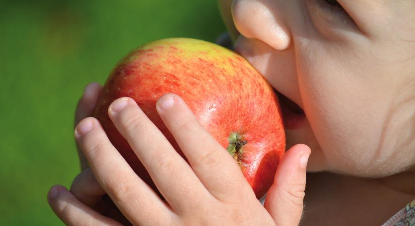 A magyar boltokban kapható almák egy részét nem lenne szabad kisgyerekeknek adni