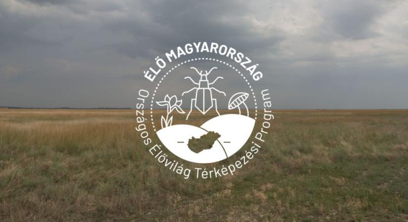 Most érdemes beszállni: új élővilág-térképezési program indul