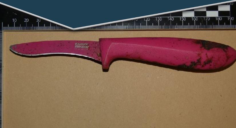 Meg akart ölni egy rendőrt egy nő, hogy börtönbe kerüljön