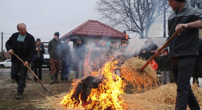 Ma már ritkán látni ilyet! Szalmával perzselték a disznót az önkéntes tűzoltók (videó és galéria)