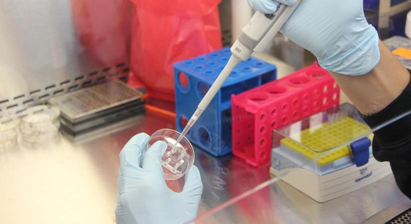 Nem terjed könnyen, de halálos: ezt kell tudni a Nipah-vírusról