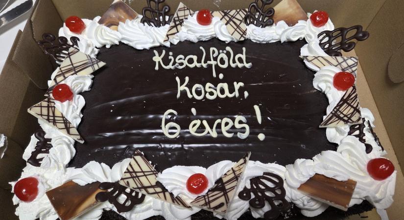 Hatodik születésnapját ünnepelte a Kisalföldi Kosár közössége