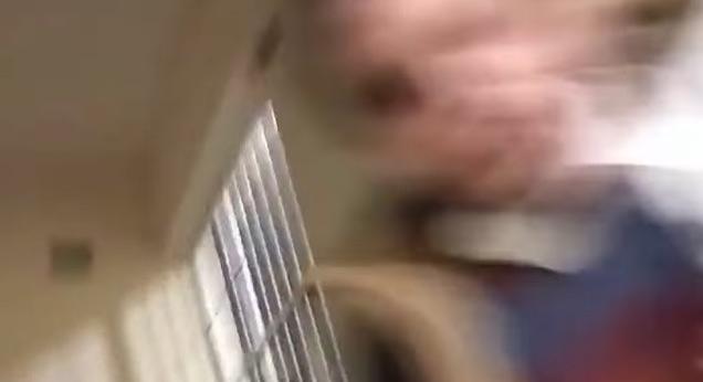 Magyar Péter: Baltával rontott rá egy tanár a Tisza fiatal önkénteseire egy debreceni lakótelepen