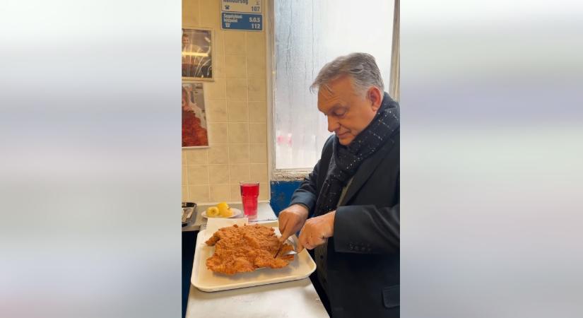 Majdnem akkora, mint én, mondta a széltében nem túl kicsi Orbán Viktor, és megpróbált elbánni egy szelet rántott hússal