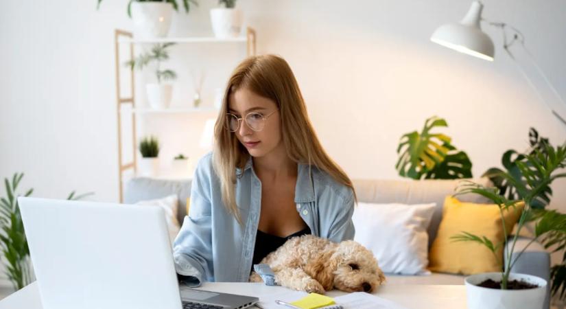 51 tipp, hogy home office-ban se ússzon el a napunk