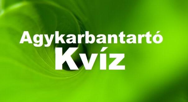 Agykarbantartó kvíz: Ez a frissítő teszt meg sem kottyan majd (431)