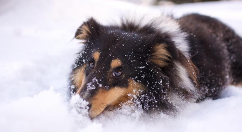 Didergető szürkeség: a havazásra helyenként még a szél is rátesz egy lapáttal