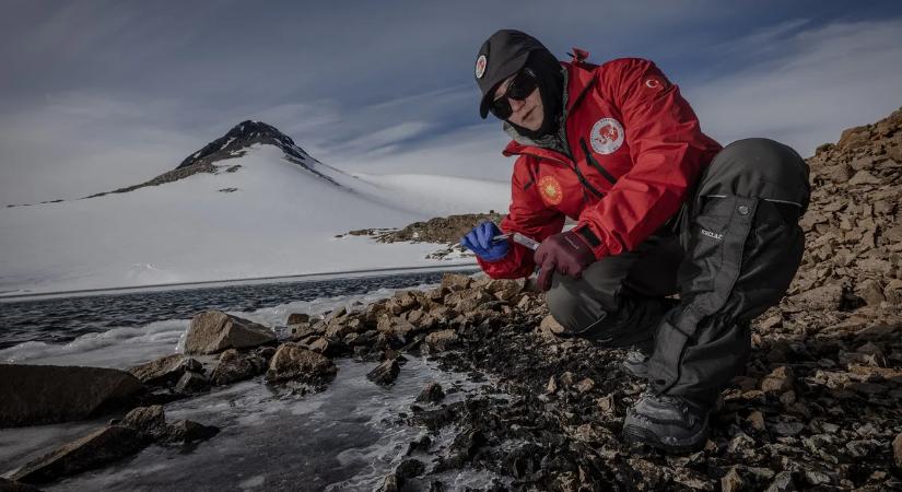 Nem éppen álomállás, de mesés a fizetés – a jég hátára toboroznak munkavállalókat