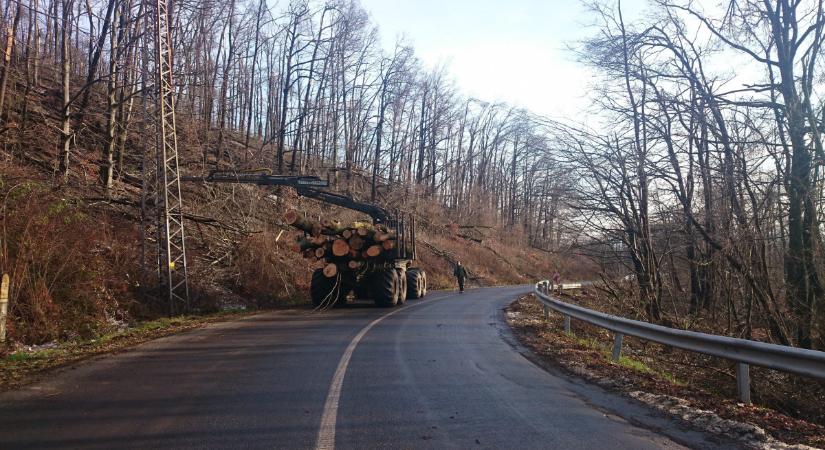 Szétrobban a feje a hétvégi időjárástól – videó