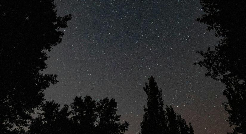 4 csillagjegy, aki vonzza a gazdagságot és jólétet január 31-től