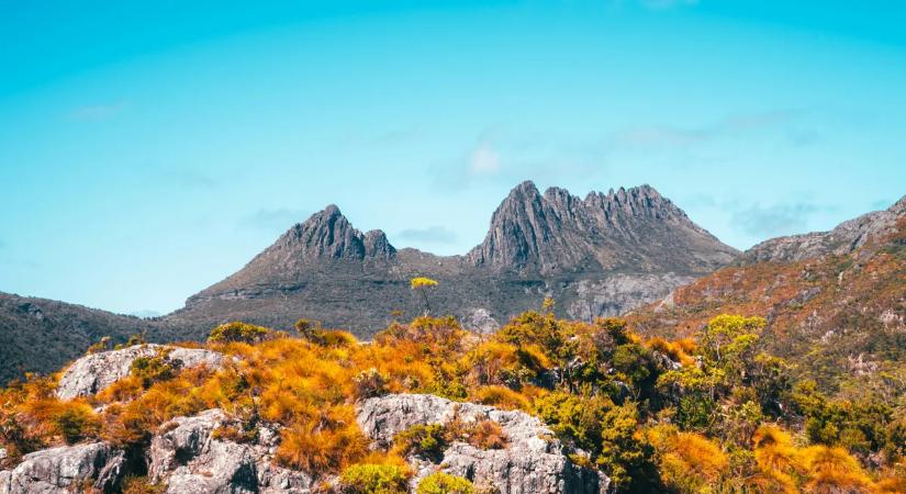 Óriásit hibázott a mesterséges intelligencia, káosz lett a vége