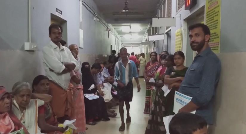 Halálos kórokozó miatt készültség Ázsiában – mi az a Nipah-vírus?