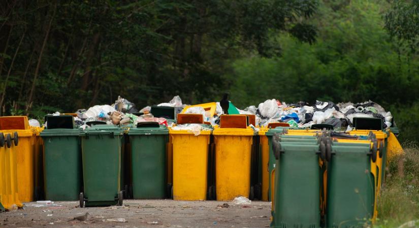 Milliókat érő kincset találtak a szemétben Magyarországon, a felvételek felrobbantották az internetet