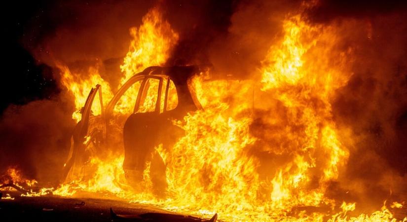 Lángoló autóból mentettek ki egy 8 hetes kutyát a tűzoltók