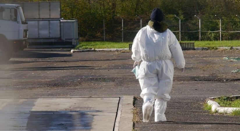 Karnyújtásnyira a baj? Már a szomszédban a járvány