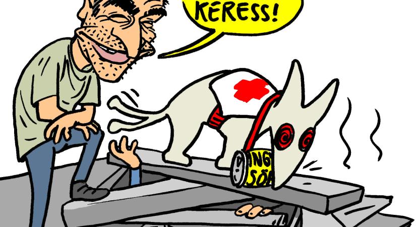 Ha beomlanak a bányát vázazó oszlopok