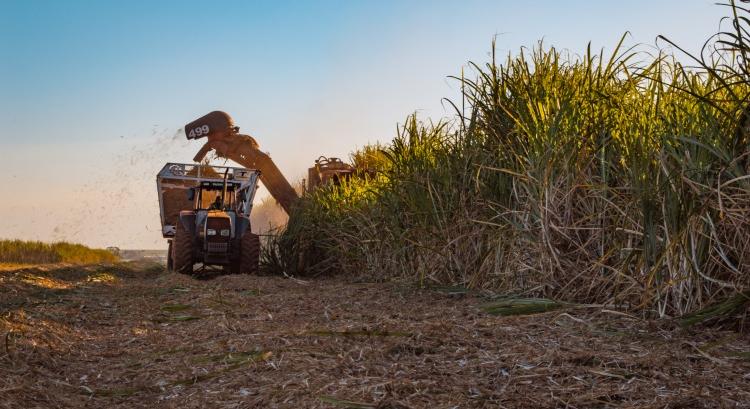 Ne jöjjön több cukor Európába!