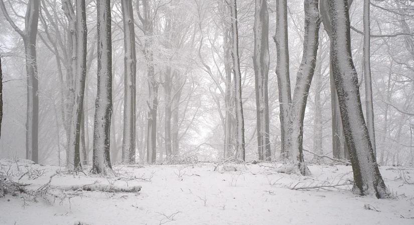 Itt a kettős front, ráadásul hétfőig a napot se látjuk