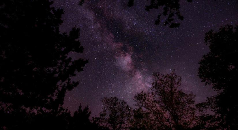 Szerelmi horoszkóp február: a Kosokra új szerelem vár, az Oroszlánoknak fájdalmas tapasztalásban lehet részük