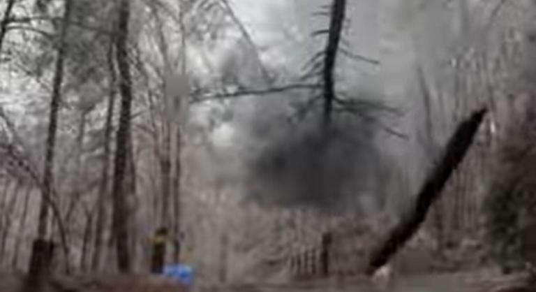 „Felrobbanó fákról” készültek videók az Egyesült Államokban
