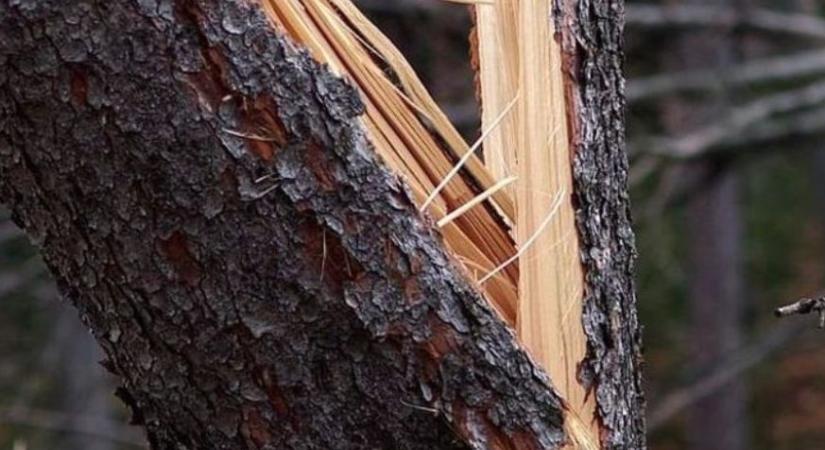 Fakidőlés, tűz és balesetek Hajdú-Biharban