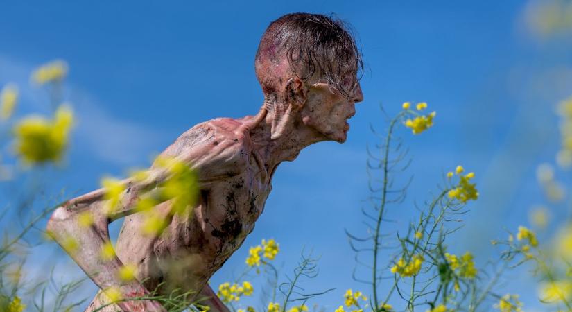 Februárban az HBO Maxon: 17 film és sorozat, amiről nem érdemes lemaradni!