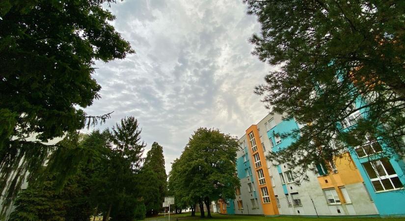 Íme egy mutató, amiben Zala országosan is az élen áll - ráadásul az egészségedre is jó hatással van!