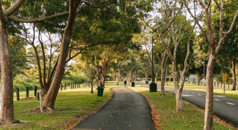 Ezért veszélyes a városi talaj lassú pusztulása