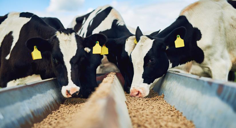 Nagy segítséget kaphatnak a bajba került gazdák: ez most komoly lehetőség