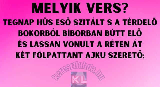 Napi irodalom feladat: A szerelmes vers, amit mindenkinek ismernie kellene.