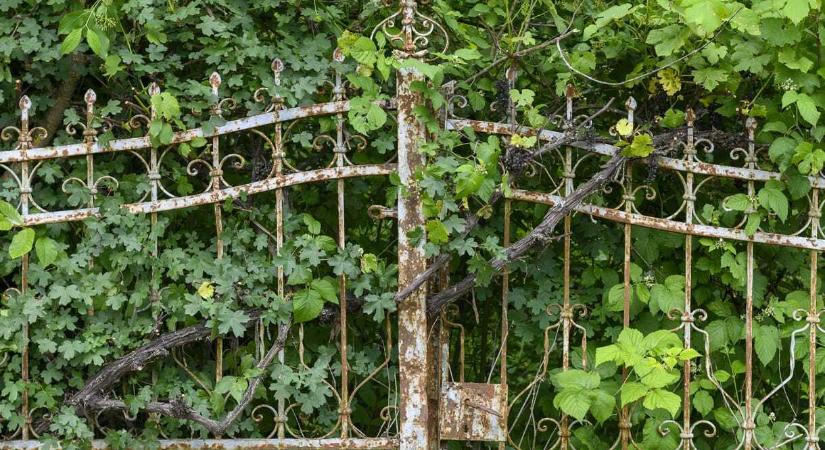 Csődbe ment a KDNP-s falu, amely szigorú önazonossági rendeletben korlátozta a betelepedést