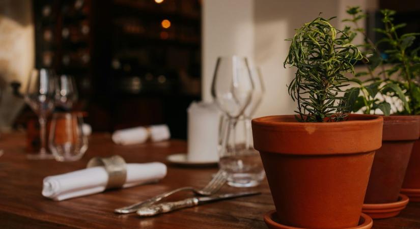 7 étel, amit a séfek szerint jobb kihagyni az étteremben