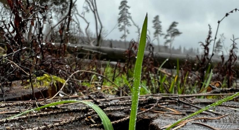 Ezúttal nem lesz hosszú a tél visszatérése