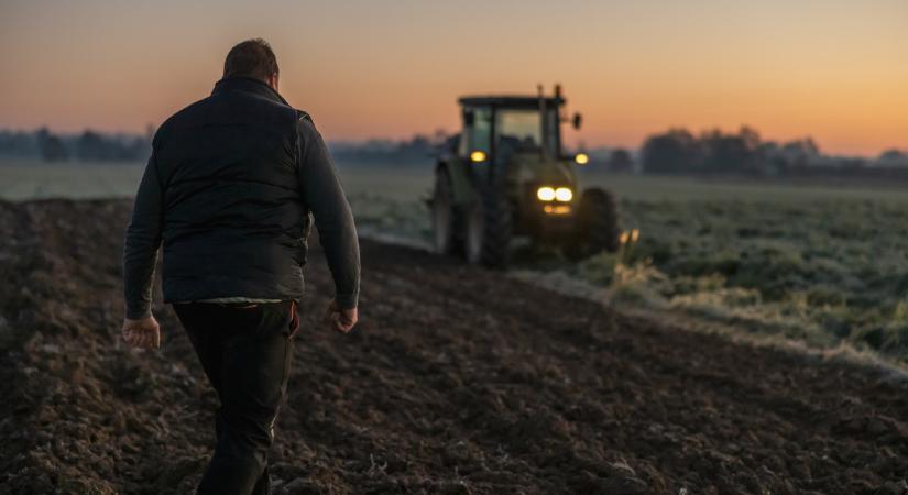 Itt a válság: sok magyar termelőnek teljesen át kell gondolnia az évet
