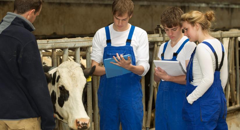Aranykalászos gazda képzéssel csalt a magyar férfi: lecsaptak a nyomozók