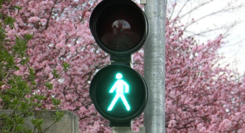 Új közlekedési lámpa jön, mutatjuk, mit jelez