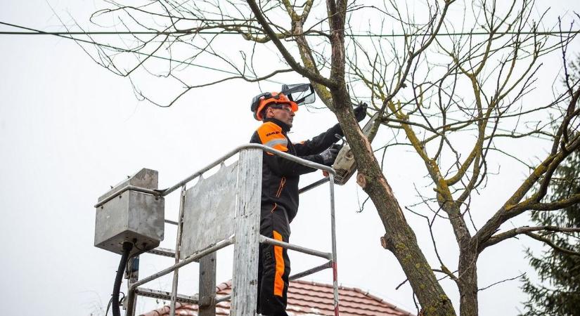 Figyelem, gallyazás! – Mutatjuk a menetrendet és az elérhetőségeket