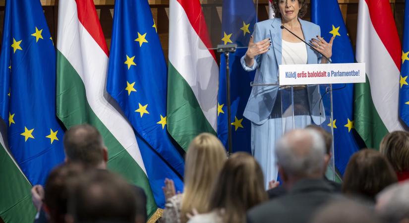 Dobrev: vegyük el a határon túliak szavazati jogát!