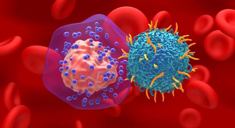 Hatalmas áttörés a rákgyógyításban: olcsó és azonnal elérhető lehet az életmentő kezelés