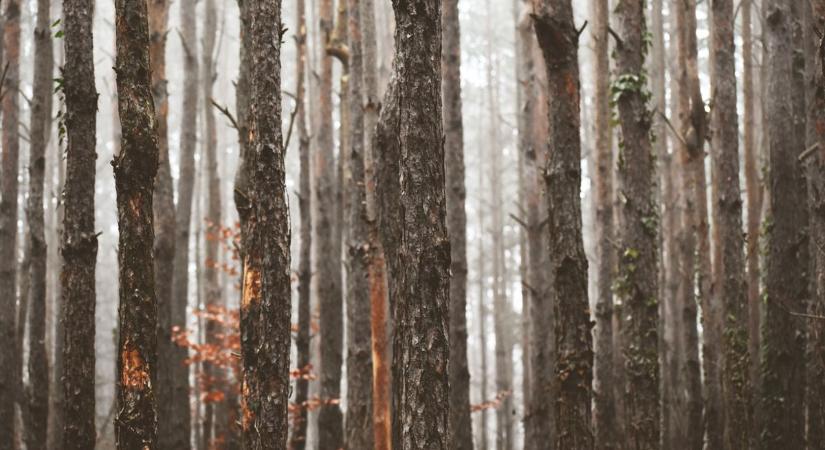 Ború, pára, majd hószállingózás – igazi téli hangulat lesz Zalában