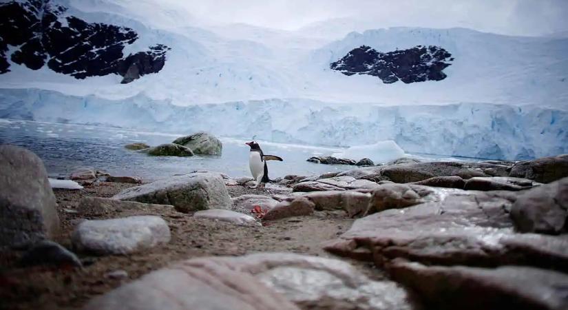 Rejtett hegyeket és hatalmas völgyeket tár fel a Déli-sark új térképe