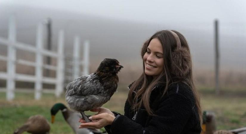 Molnár Miléna különleges biztonsági rendszerrel védi szeretett tyúkjait
