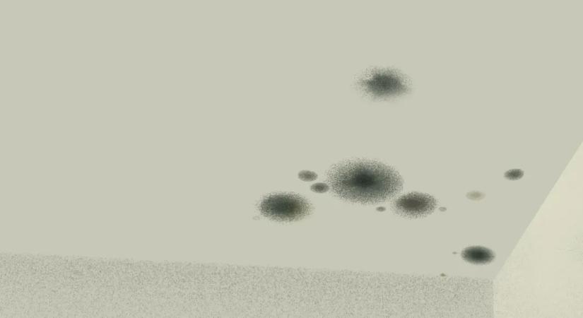 Kozma Klaudia: Elég hideg, hogy havazzon