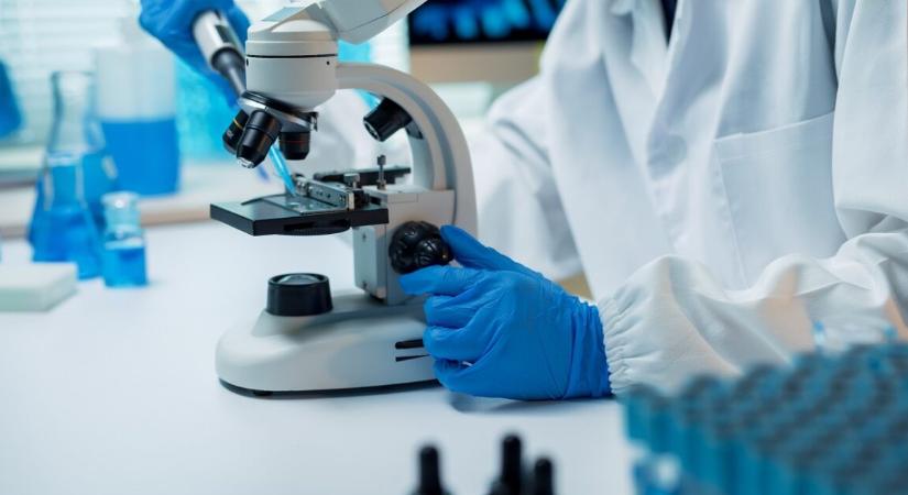 5500 éves emberi maradványokból került elő egy elveszett kórokozó