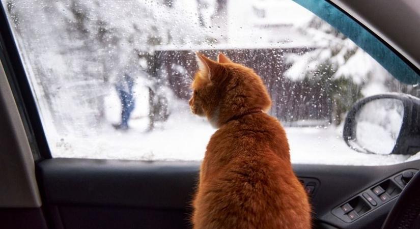 Borult, hűvös idővel indul a február Dunaújvárosban