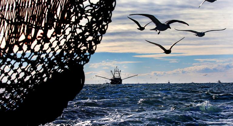 Hét emberrel a fedélzetén elsüllyedt a History Channel műsorában is szerepelt halászhajó